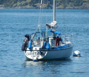 Caro Babbo anchored off Turn island with more and more stuff hanging from her transom.